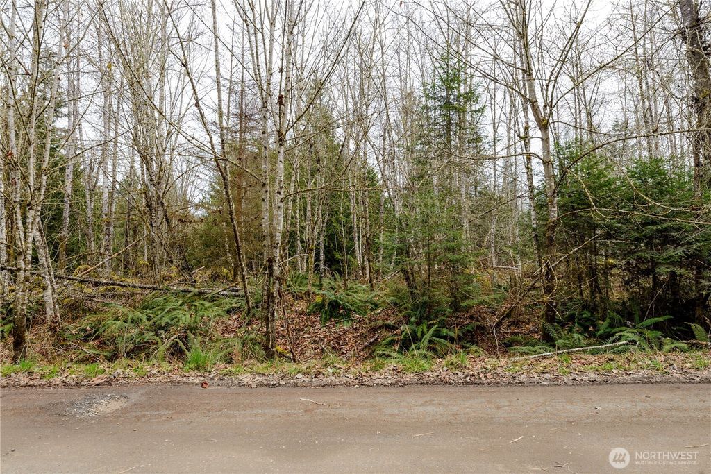 Photo of 9999 Runamuck Lane, Port Angeles, WA 98362 (MLS # 2501272)