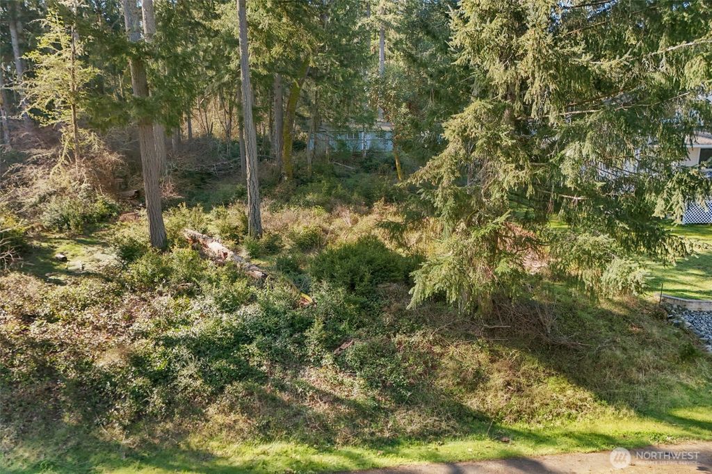Photo of 10514 100th Street Ct, Anderson Island, WA 98303 (MLS # 2506051)