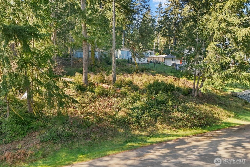 Photo of 10514 100th Street Ct, Anderson Island, WA 98303 (MLS # 2506051)