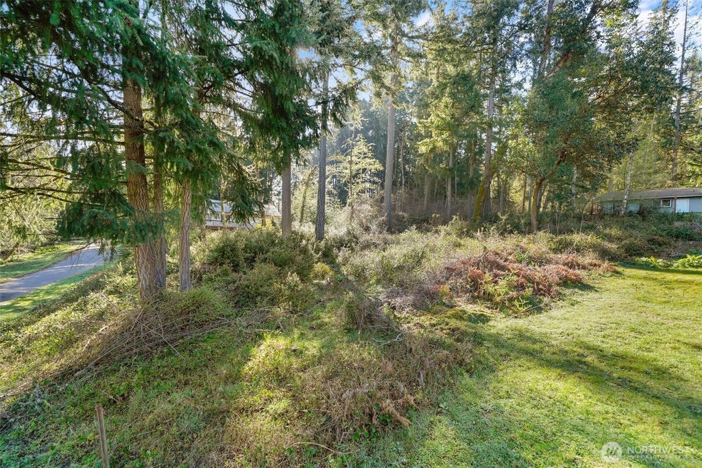 Photo of 10514 100th Street Ct, Anderson Island, WA 98303 (MLS # 2506051)
