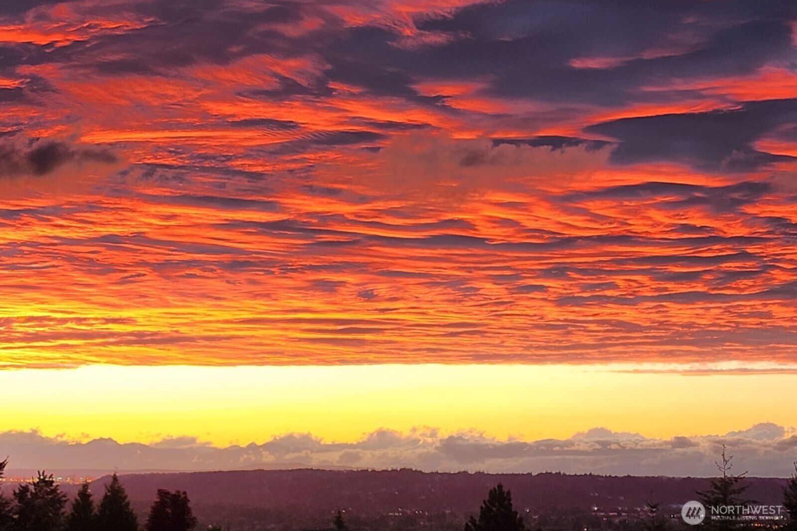 17806 106th Street E