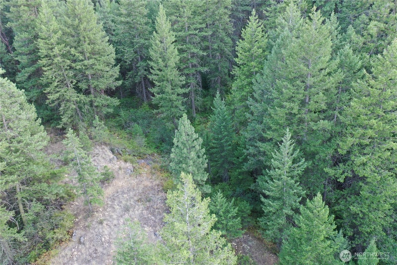 111 Eaglebluff