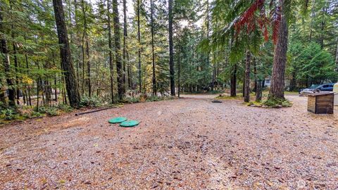 Photo of 61 2 Wilderness Way, Deming, WA 98244 (MLS # 2451937)
