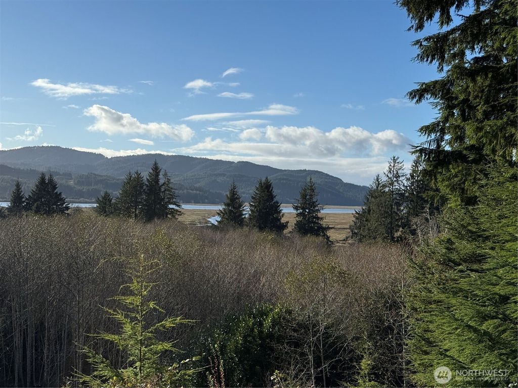 Photo of 70 Dionne Lane, Naselle, WA 98638 (MLS # 2457885)