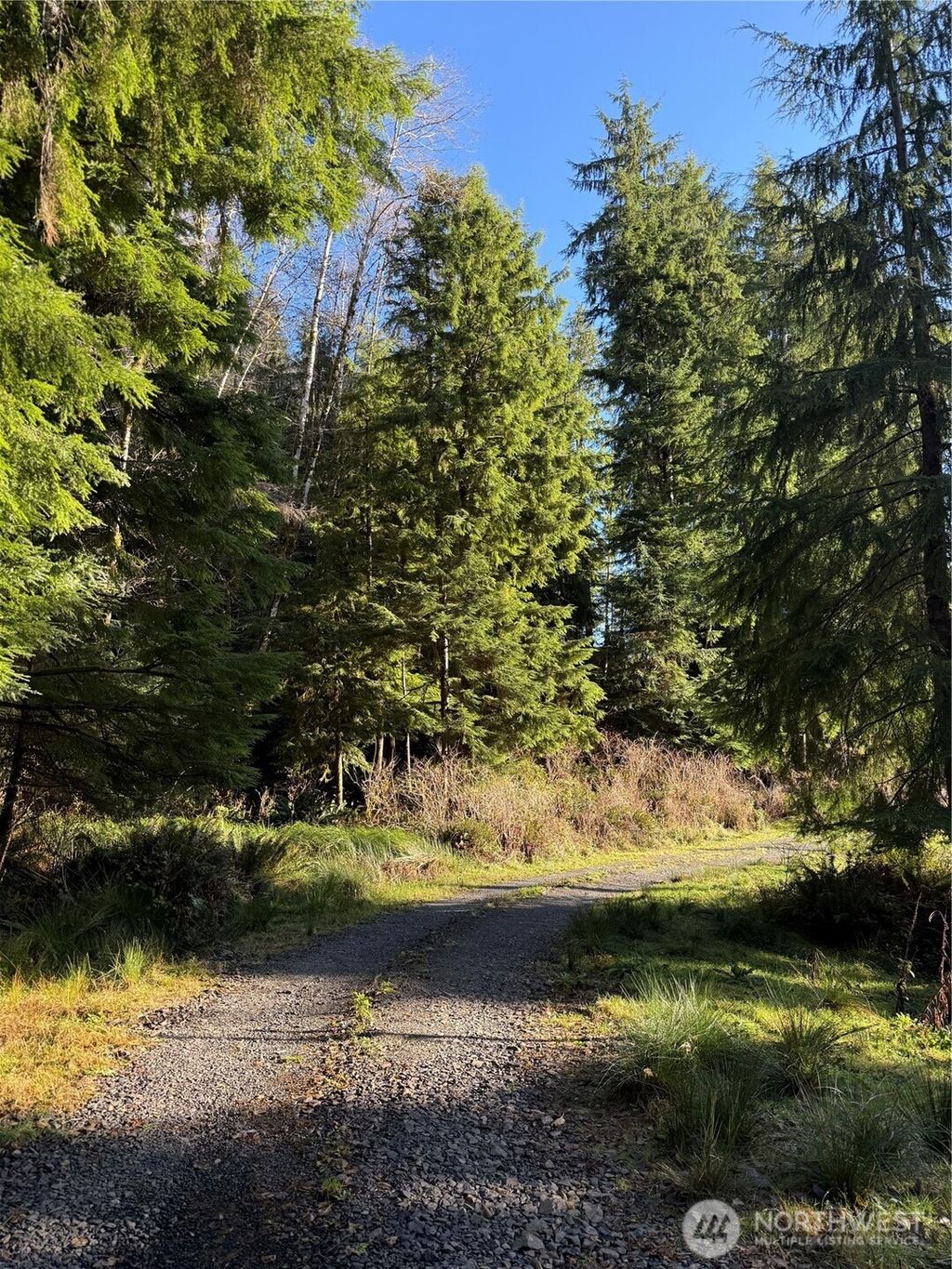 Photo of 70 Dionne Lane, Naselle, WA 98638 (MLS # 2457885)