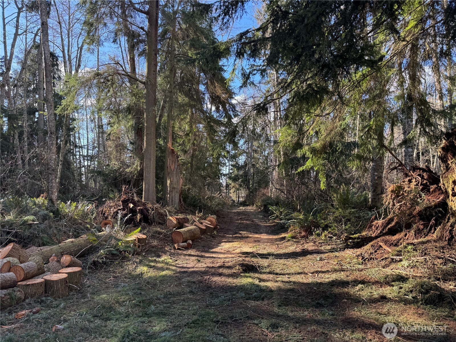 28062 State Route 525