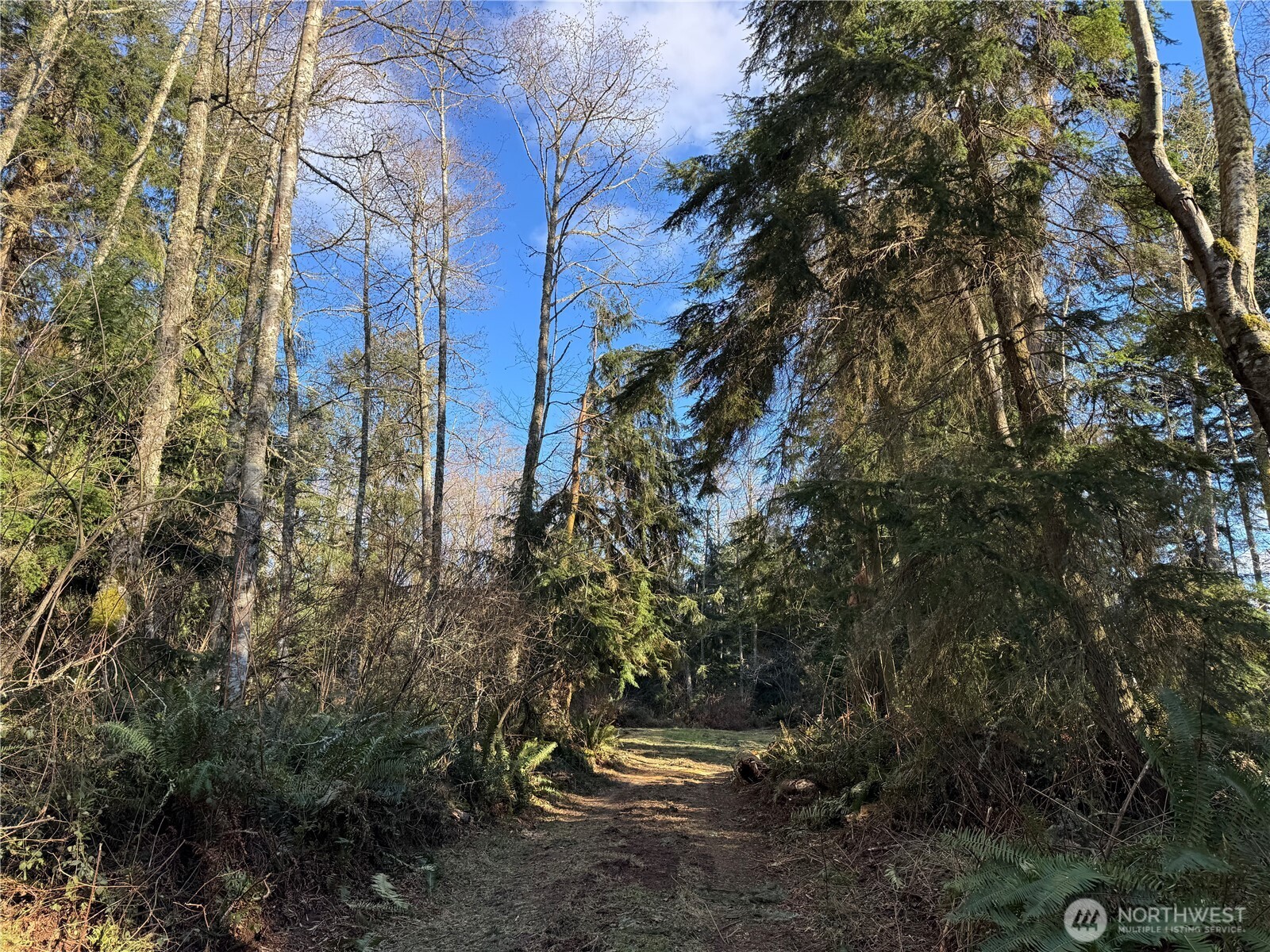 28062 State Route 525