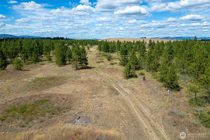 35390 Prairie Lane N Lot 5