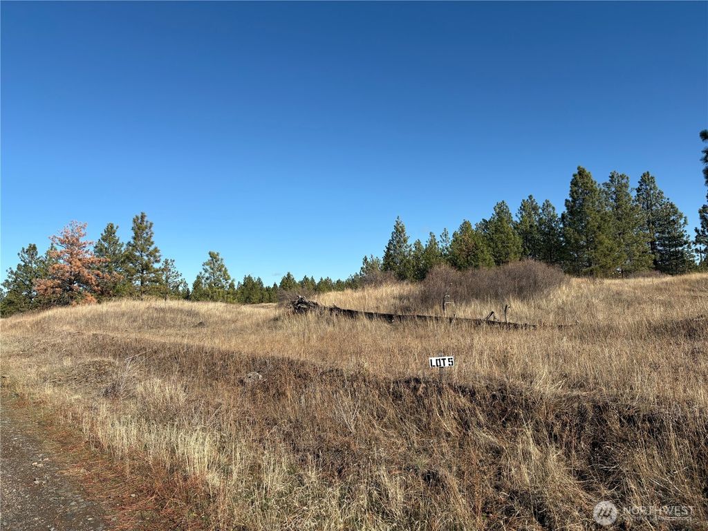 Photo of 35390 Prairie Lane N #Lot 5, Creston, WA 99117 (MLS # 2458226)