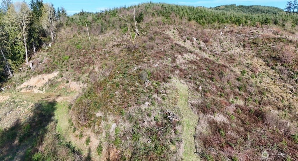 Photo of 2916 Little Hanaford Rd Rd, Centralia, WA 98531 (MLS # 2509713)