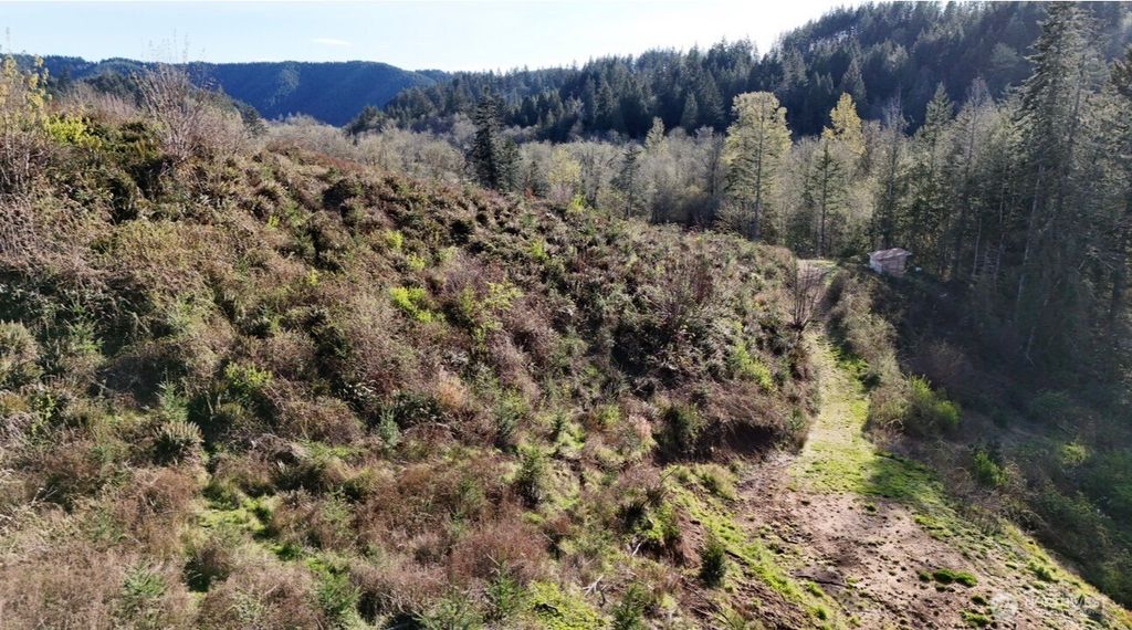 Photo of 2916 Little Hanaford Rd Rd, Centralia, WA 98531 (MLS # 2509713)