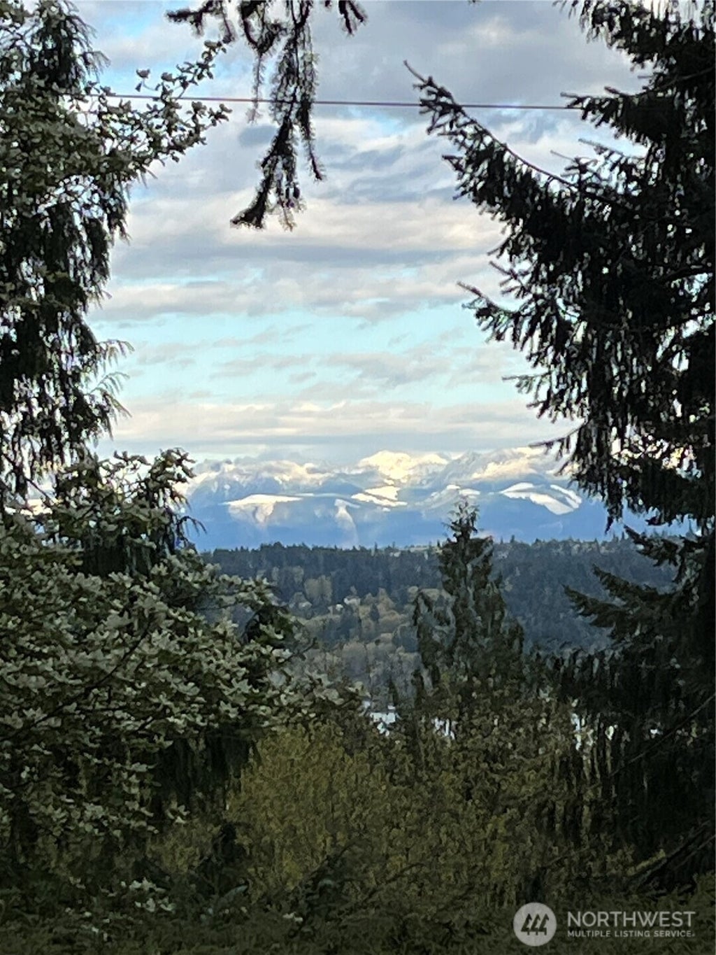 Photo of 16518 NE 2nd Place, Bellevue, WA 98008 (MLS # 2566766)