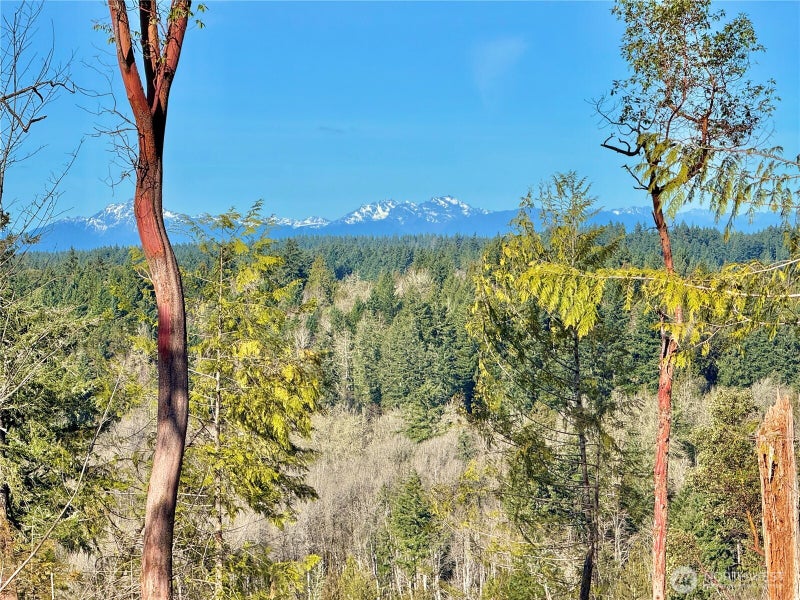 4319 183rd Avenue Ct SW