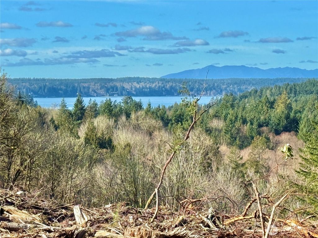 Photo of 4319 183rd Avenue Ct SW, Longbranch, WA 98351 (MLS # 2489573)