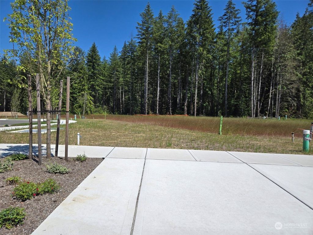 Photo of 23819 Site 209 SE Sequoia Street, Black Diamond, WA 98010 (MLS # 2253915)