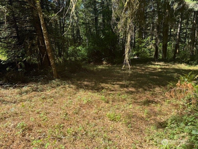 20325 Bucoda Highway SE