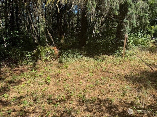 20325 Bucoda Highway SE