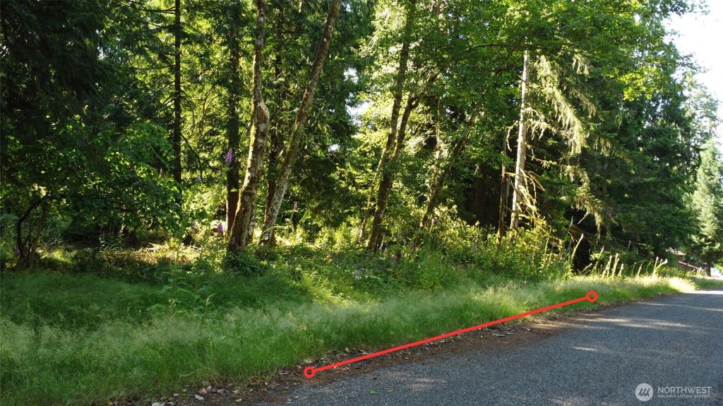 Photo of 10114 Selma Circle, Anderson Island, WA 98303 (MLS # 2465648)