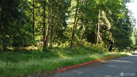 Photo of 10114 Selma Circle, Anderson Island, WA 98303 (MLS # 2465648)