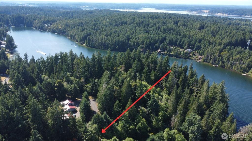 Photo of 10114 Selma Circle, Anderson Island, WA 98303 (MLS # 2465648)