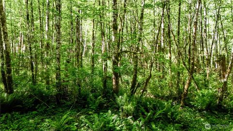 Photo of 99993 Dowans Creek Road, Forks, WA 98331 (MLS # 2302330) Photo of 99993 Dowans Creek Road, Forks, WA 98331 (MLS # 2302330)