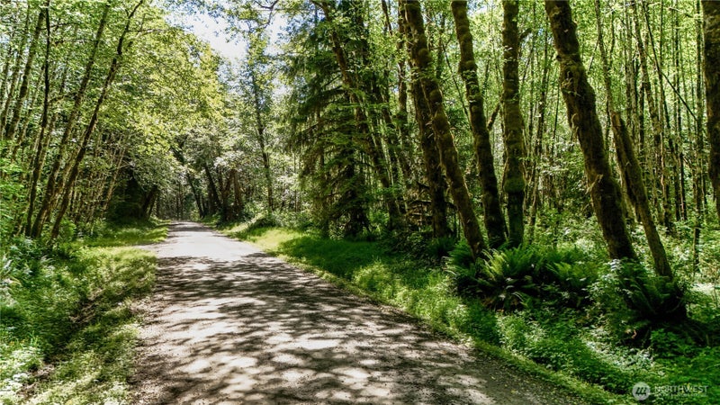 99993 Dowans Creek Road