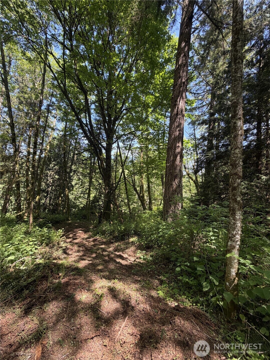 0 Squalicum Mountain Road