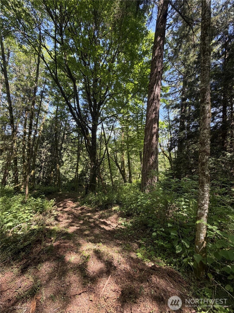 0 Squalicum Mountain Road