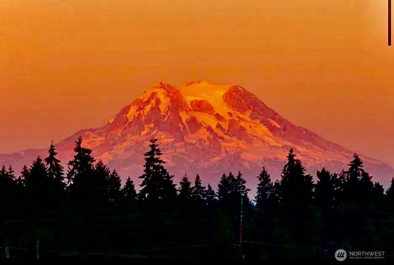 2835 Arrowroot Loop SE