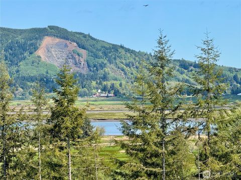 Photo of 8468 Us Highway 101, South Bend, WA 98586 (MLS # 2517152)