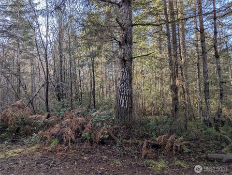 Featured picture for the property 2479502