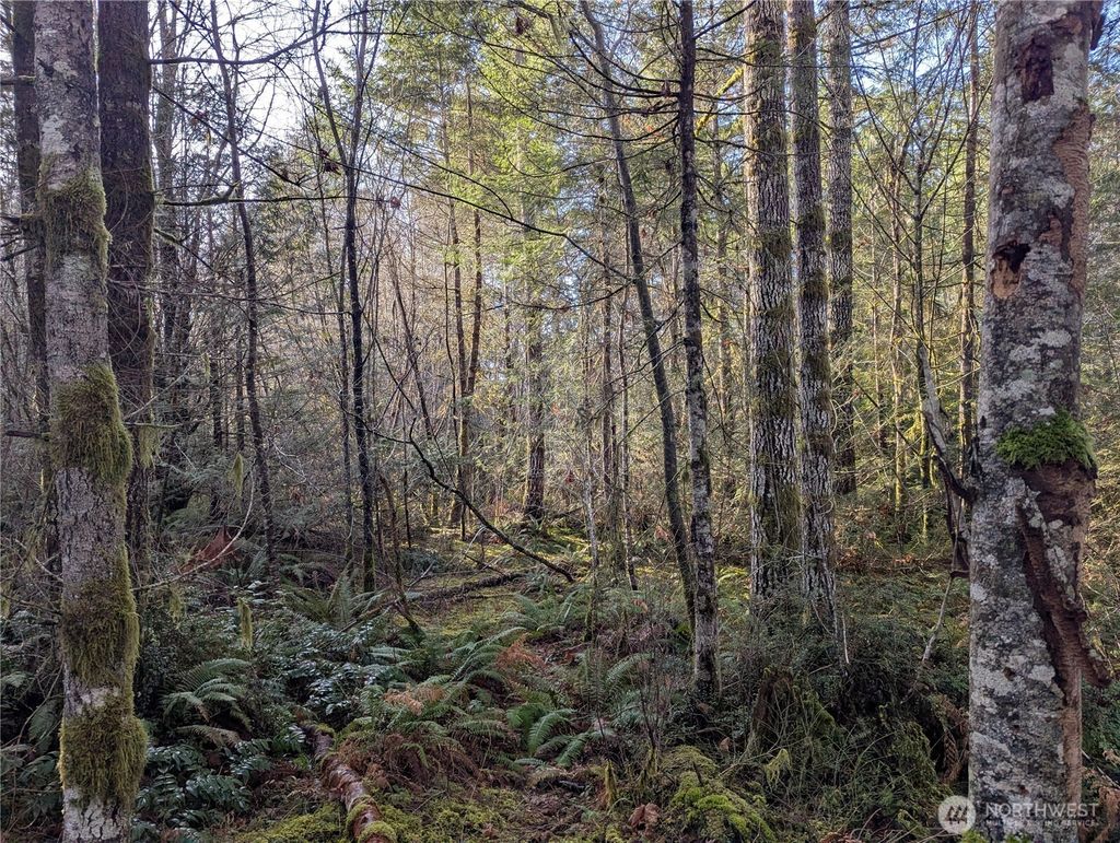 listing image 9367268977526457405