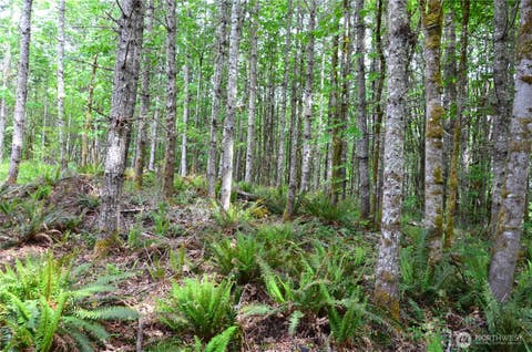 Photo of 4 NKA Romans Way, Port Townsend, WA 98368 (MLS # 2549565)