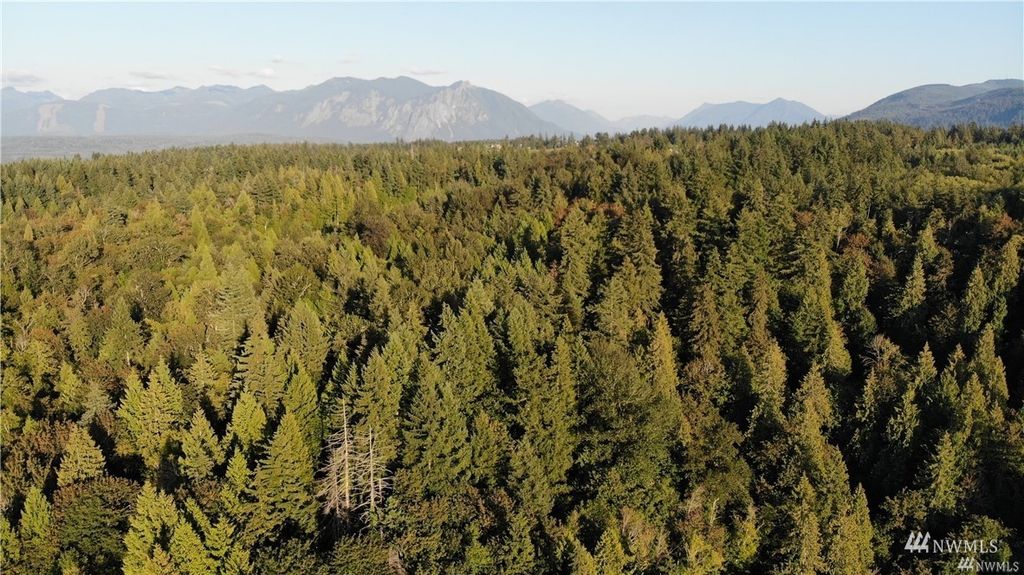 Photo of 65 XX Preston Fall City Road SE, Fall City, WA 98024 (MLS # 1985800)