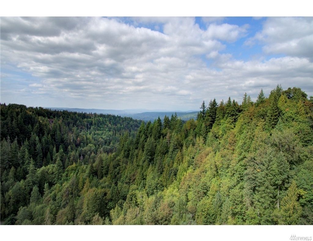Photo of 65 XX Preston Fall City Road SE, Fall City, WA 98024 (MLS # 1985800)