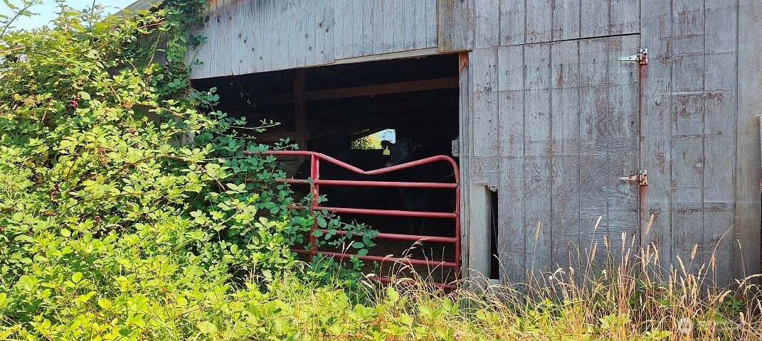 46502 268th Avenue SE