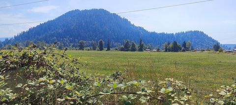 46502 268th Avenue SE Enumclaw WA 98022