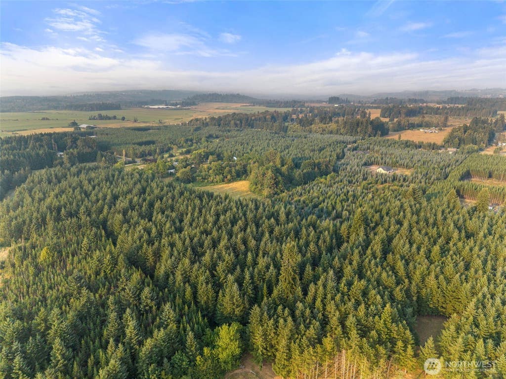 Photo of 0 Alspach Road, Onalaska, WA 98570 (MLS # 2566193)