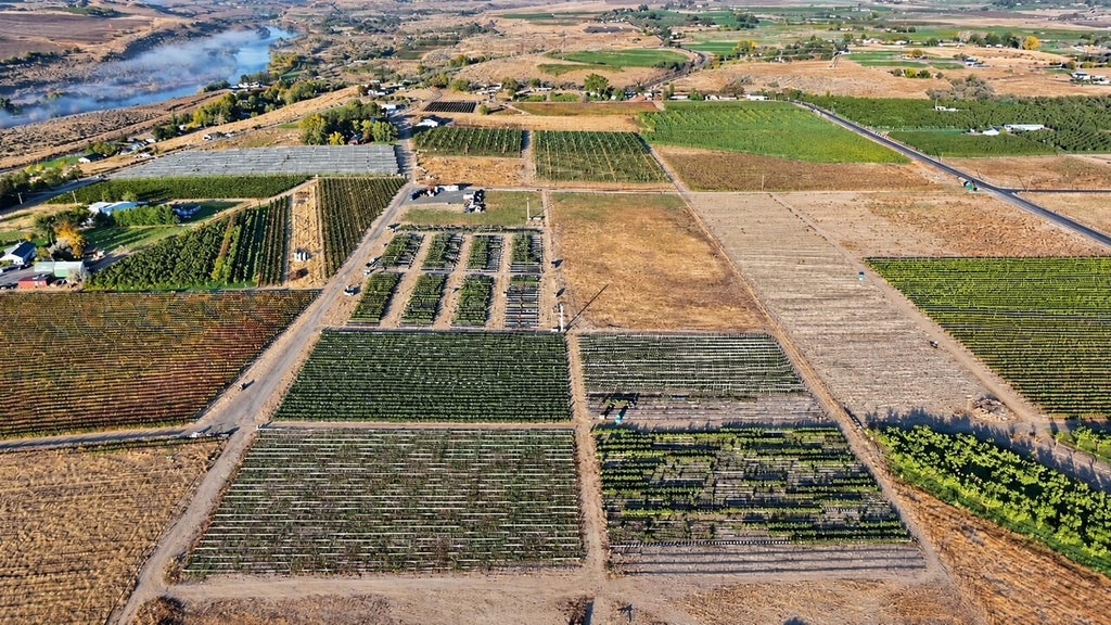 Photo of 11805 W Corral Creek Road, Benton City, WA 99320 (MLS # 2597415)