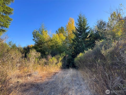 Photo of 999 Chasewood Drive, Port Angeles, WA 98363 (MLS # 2585154)