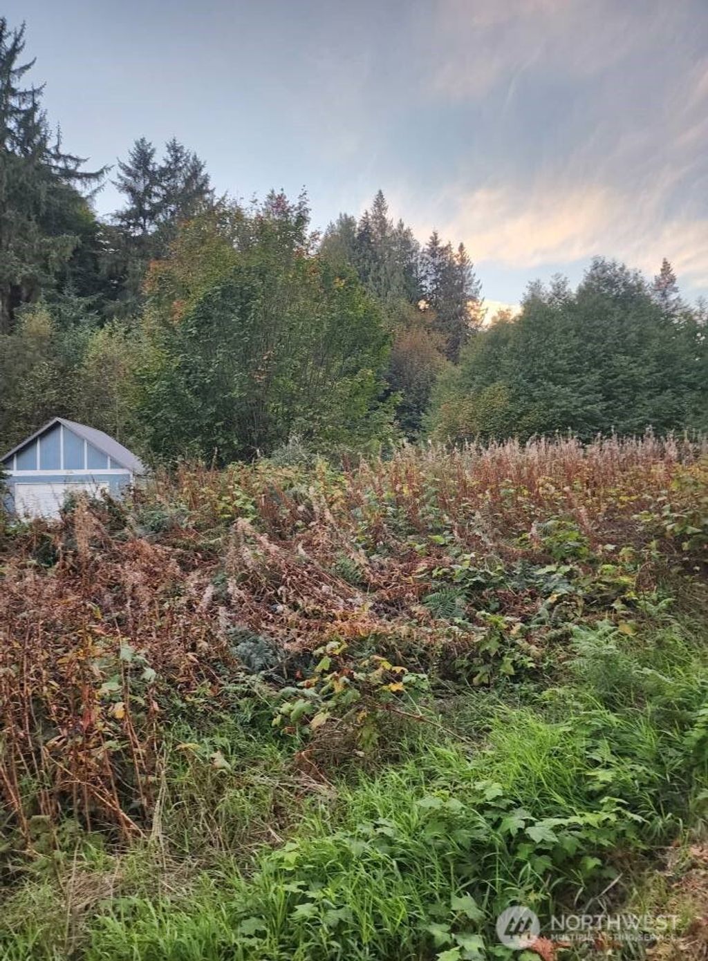 Photo of 4828 Schwarzmiller Road, Lake Stevens, WA 98258 (MLS # 2442228)