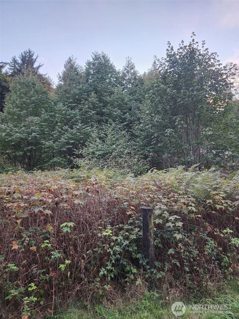 Photo of 4828 Schwarzmiller Road, Lake Stevens, WA 98258 (MLS # 2442228)