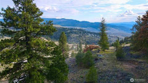 Photo of 0 TBD Blue Grouse Road, Oroville, WA 98844 (MLS # 2515710)