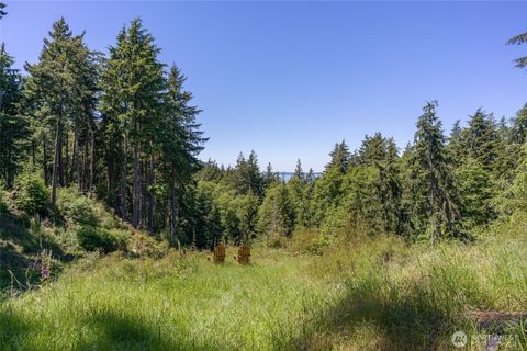 Photo of 23 Tsuga Lane, Orcas Island, WA 98279 (MLS # 2549666)