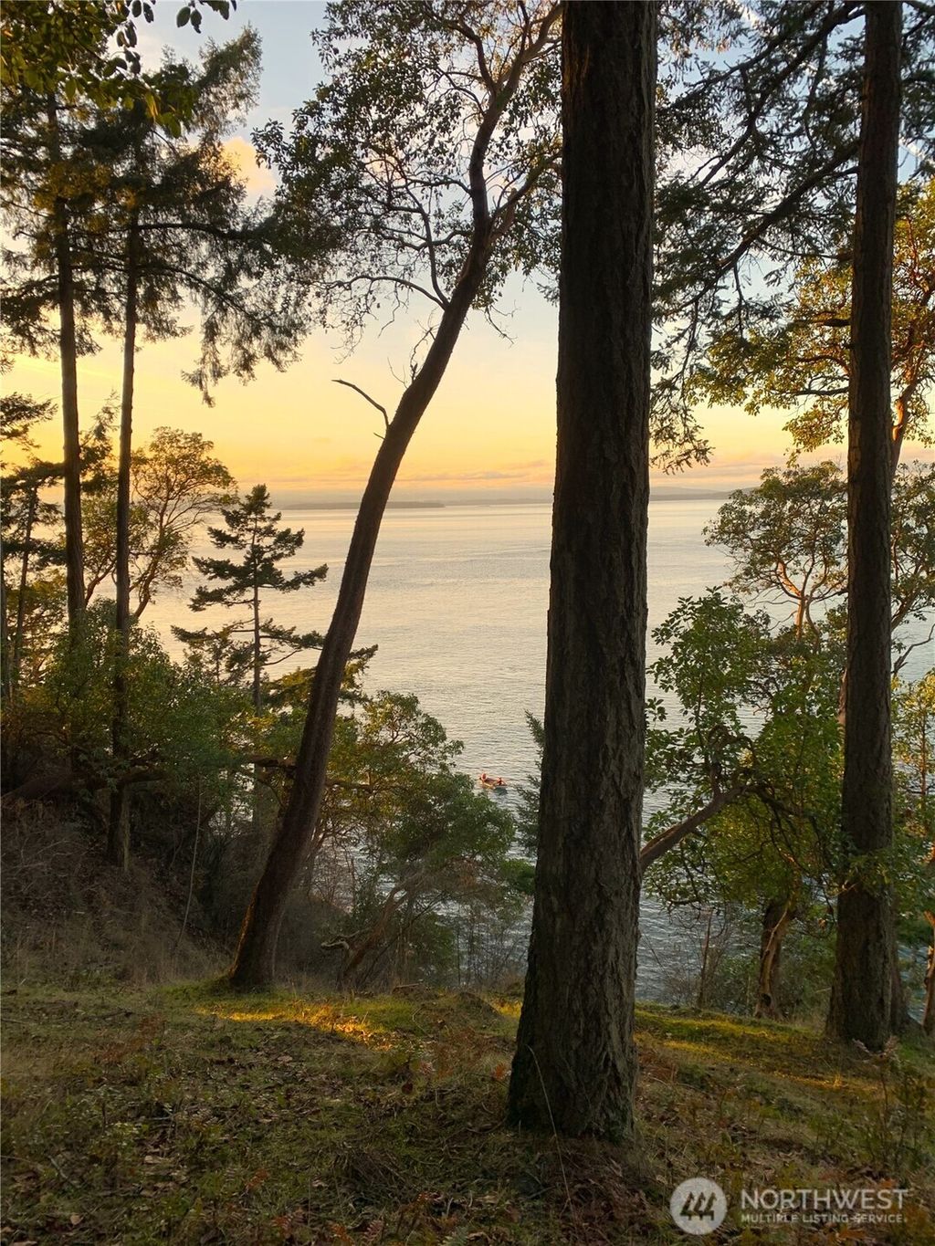 Photo of 0 Fern Place, Friday Harbor, WA 98250 (MLS # 2497114)