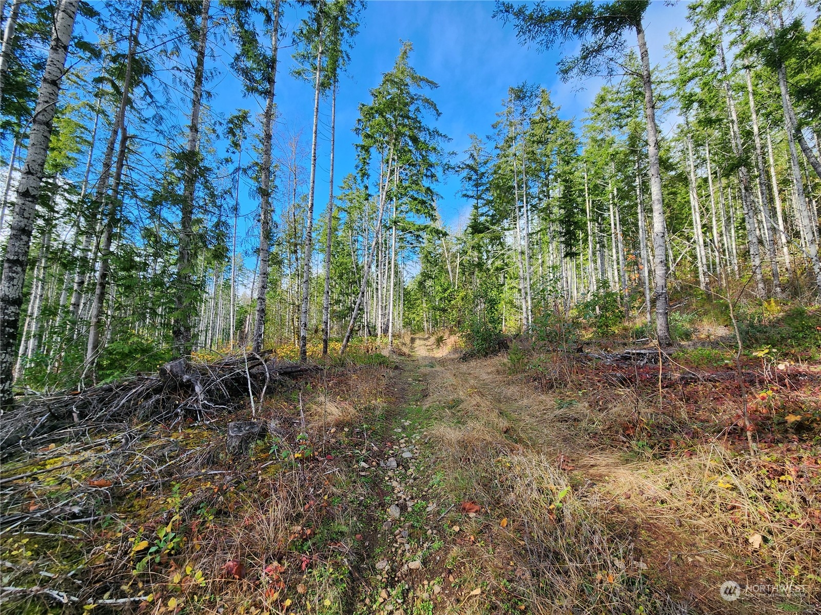 0 Rocky Brook Road Road Lot I