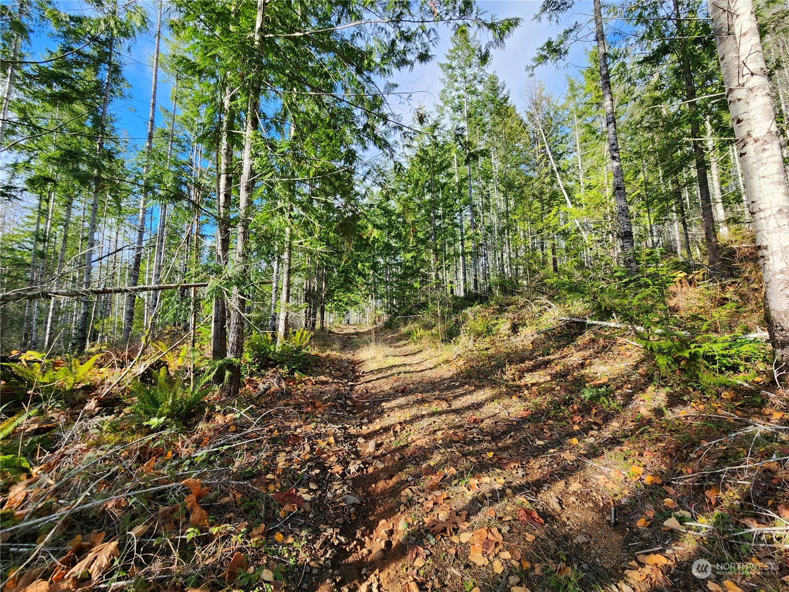 0 Rocky Brook Road Road Lot I
