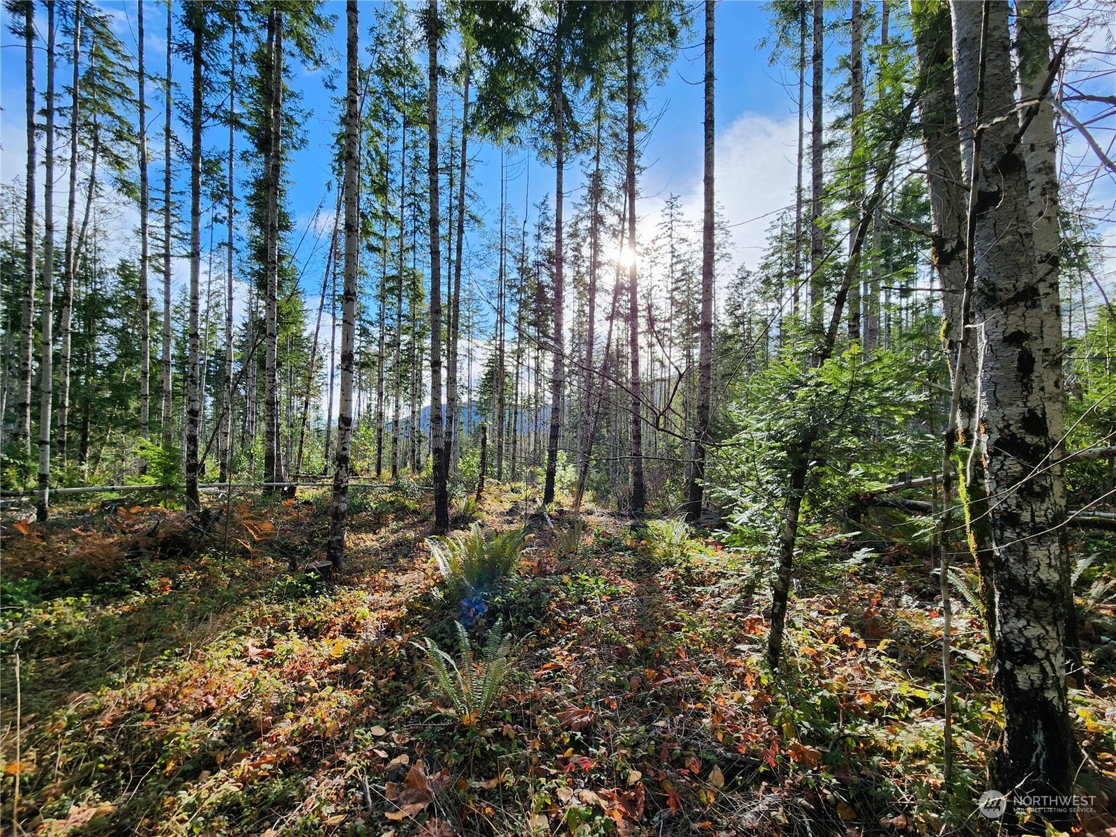 0 Rocky Brook Road Road Lot I