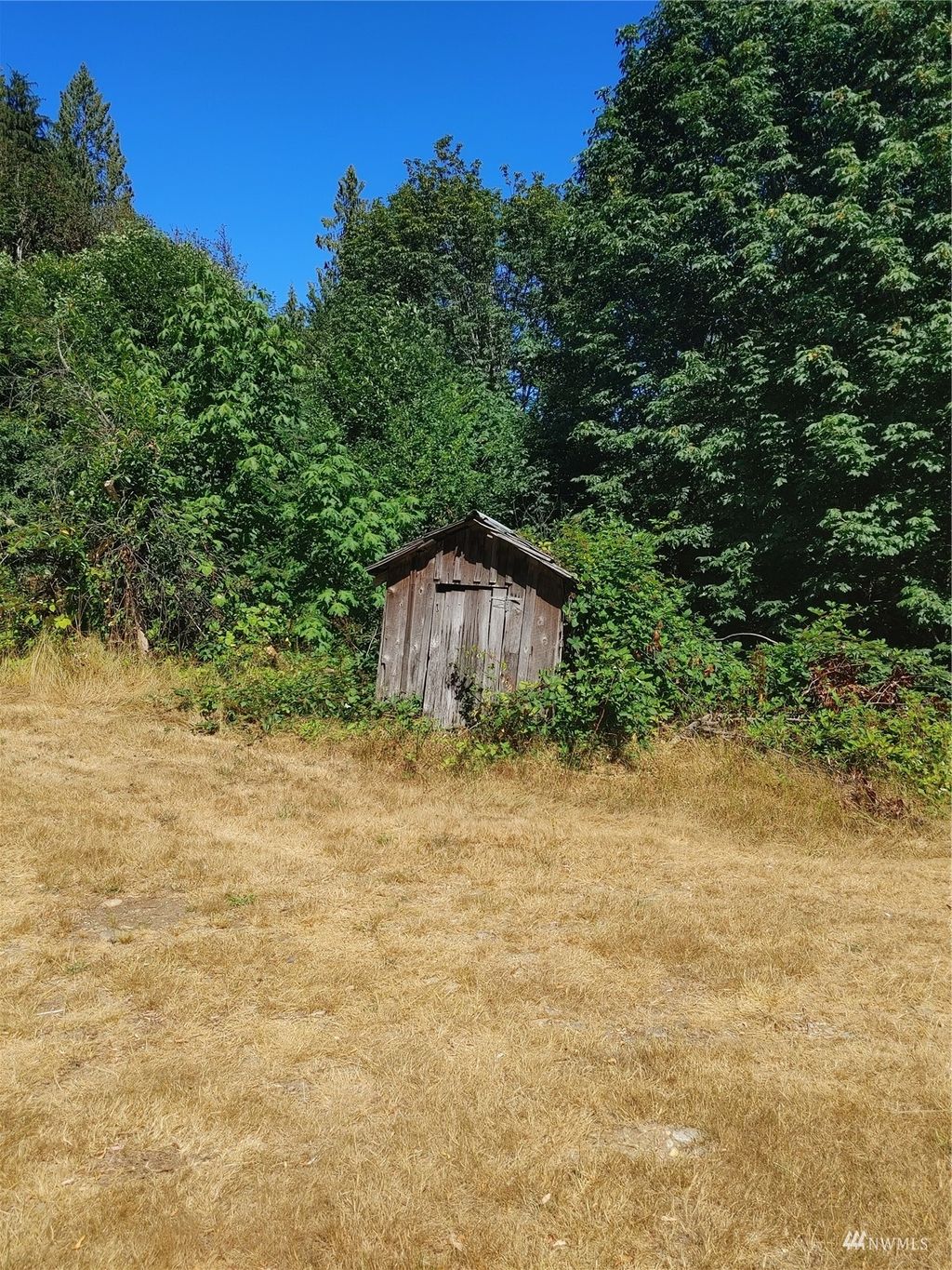 Photo of 45627 Squire Creek Road, Darrington, WA 98241 (MLS # 1984169)