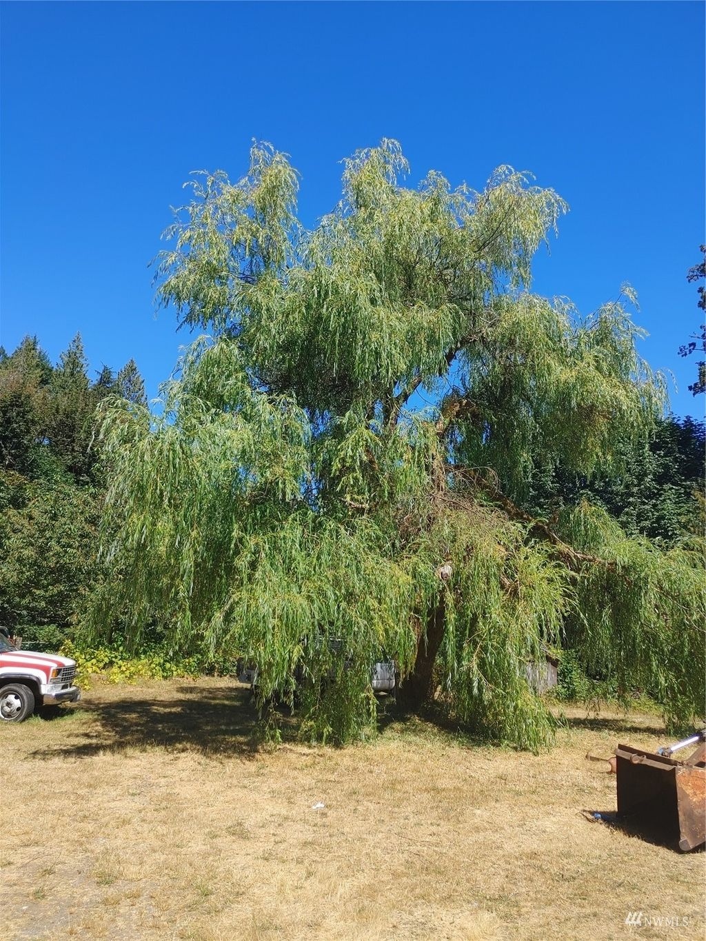 Photo of 45627 Squire Creek Road, Darrington, WA 98241 (MLS # 1984169)
